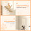 5 tablettes murales en bois pour chat