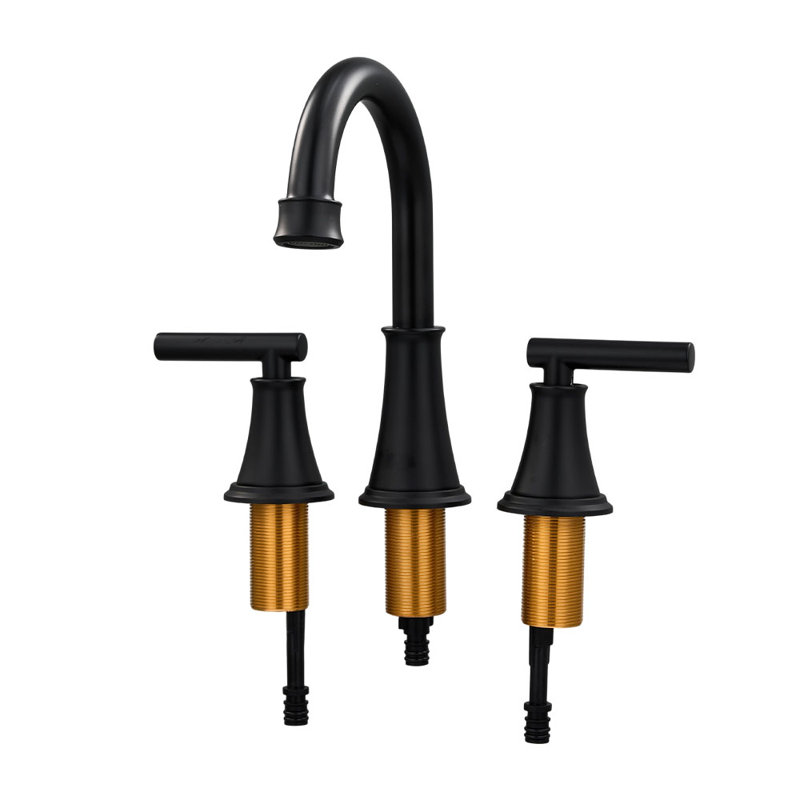 Double Handle Bathroom Sink Faucet with Drainer, Black