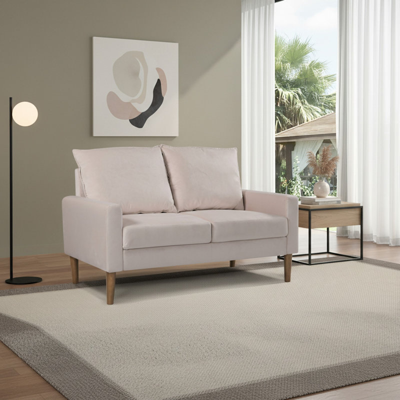 Causeuse rembourrée en velours de style moderne et minimaliste, canapé compact à 2 places à ressorts hélicoïdaux pour salon
