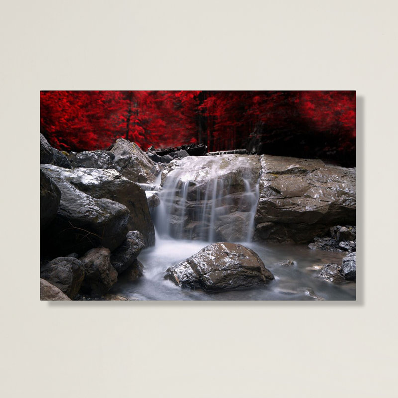  Art mural encadré - Décoration murale «Vison rouge» par Philippe Sainte-Laudy avec cadre mat - Art du salon, de la cuisine et de la salle de bain - 16 x 24