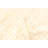 Sienna Tan Rug 5'1" x 7'11"