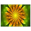 " Bright Yellow Fractal Flower on Green " Graphic Art Print-19241215