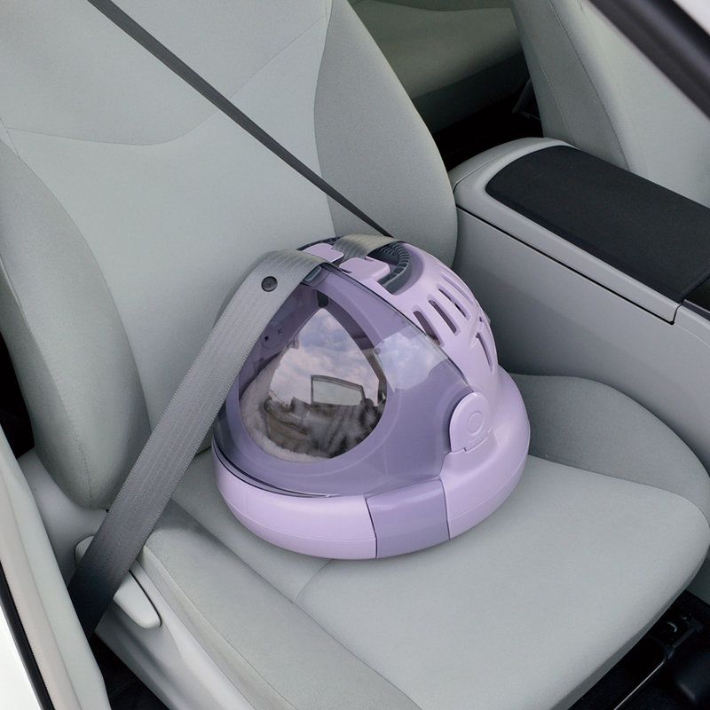 Plastic Collapsible Pet Carrier with 1 Door, Lavender