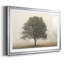 Arbres dans le brouillard I-190596858-190596857