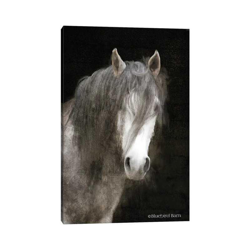 Gypsy Vanner Mystique by Bluebird Barn - Wrapped Canvas Painting, 45.72cm H x 30.48cm W x 1.905cm D