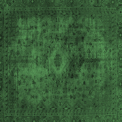 Garappolo Oriental Indoor Rug
