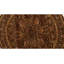 Wool Oriental Area Rug in Beige/Black/Rust