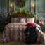 Laurence Llewelyn-Bowen Festive Robin Duvet Cover Set Red-134515521