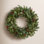 30'' Faux Pine Lighted Plastic Wreath