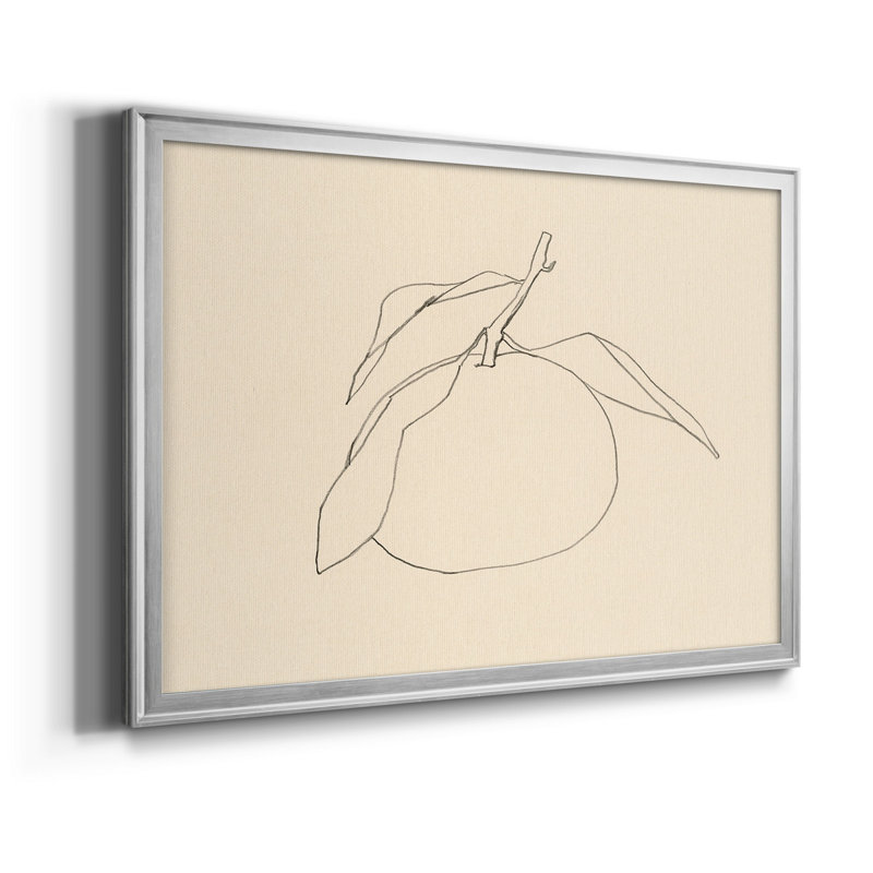 Citrus Contour I - ensemble de 2 reproductions de dessins encadrés, H 24,5 po x l 37 po x P 1 po, Chrome