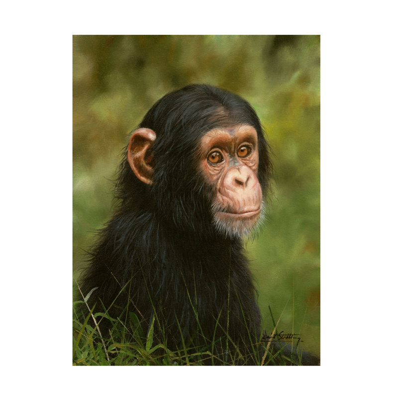 David Stribbling Chimp Canvas Art, 18" H x 24" W
