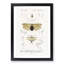 Insect of Illustrations PL.1 by Charles d'Orbigny - Picture Frame Painting Print-55576004-55576005