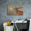 Art mural sur toile, "Red Deer Stag2" par David Stribble-41176514