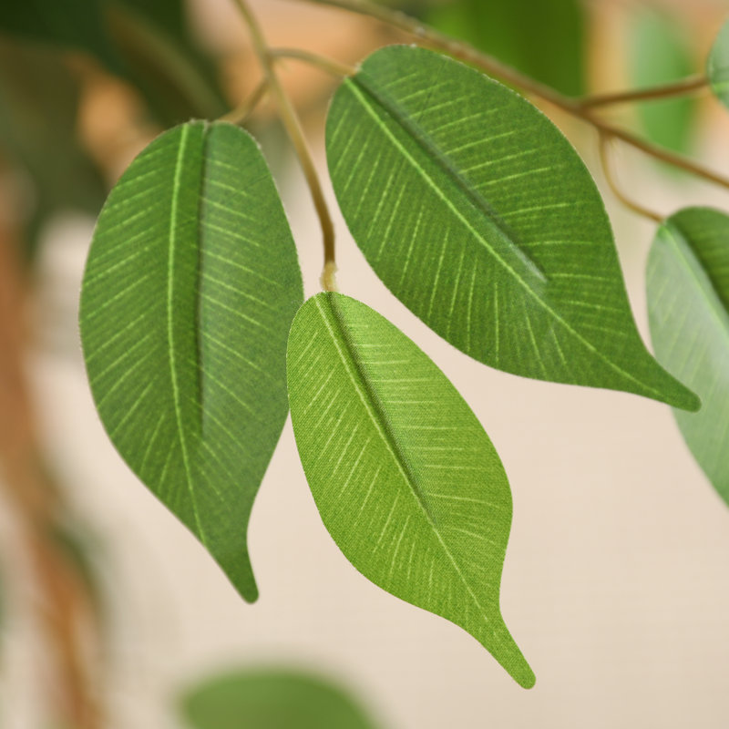 Ficus artificiel en pot 59 po avec des feuilles réalistes et un tronc naturel Adcock, H 59 po x l 15 po x P 15 po