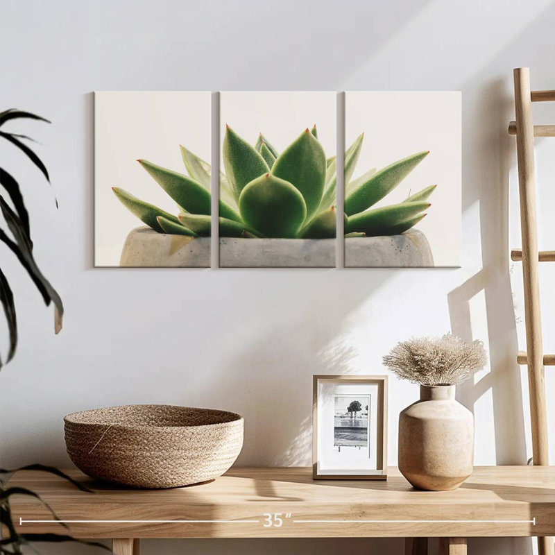 Plante grasse Harnek Stone Pot, H 12 po x l 26 po