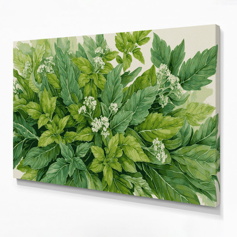 Art mural botanique sur toile vert Origan, H 11 po x l 14 po