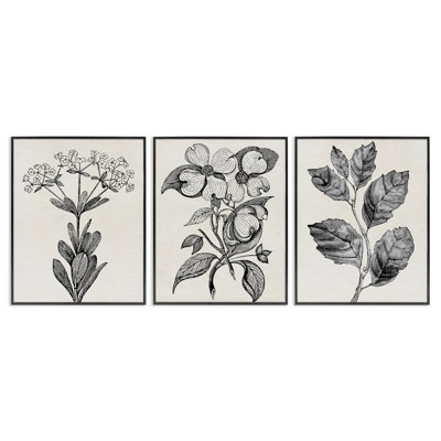 Classic Natural Botanicals 3pc Framed Giclee Set, design by Karen Smith