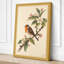 Robin on Blossom Botanical - Wrapped Canvas-2020760162-2020760165
