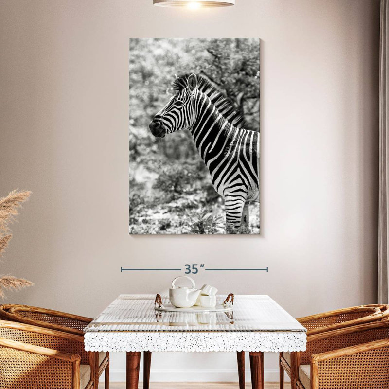 BW Portrait of Burchell's Zebra II, H 48 po x l 32 po