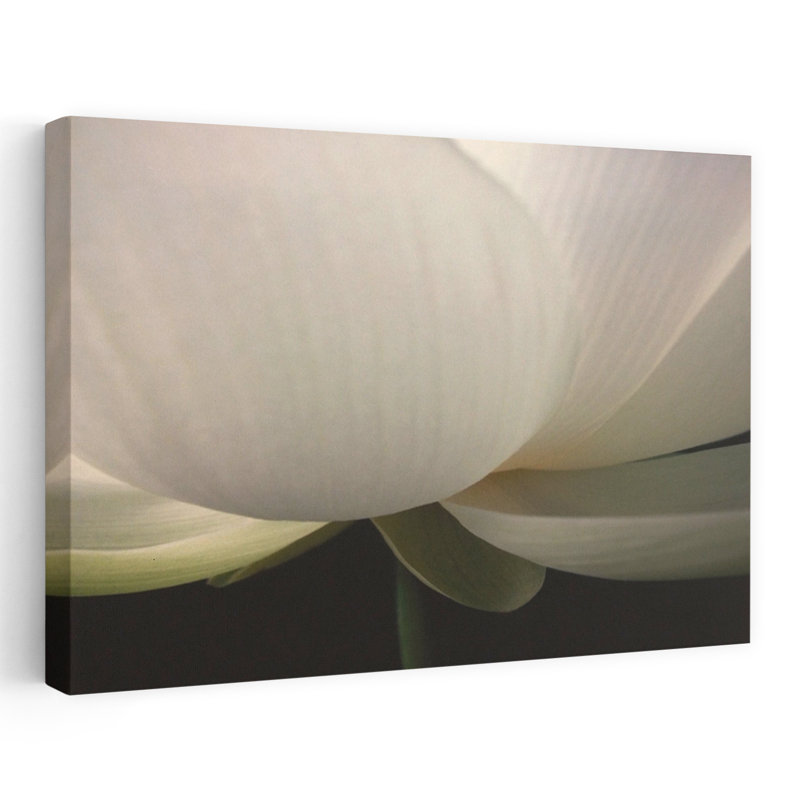 Lotus Stem Delicate Elegant Minimalist Flower Art, 16" H x 24" W