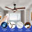 Jerlan 52'' Ceiling Fan with LED Lights-1884012210