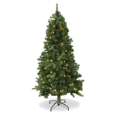 6' Pre-Lit Douglas Christmas Tree PVC