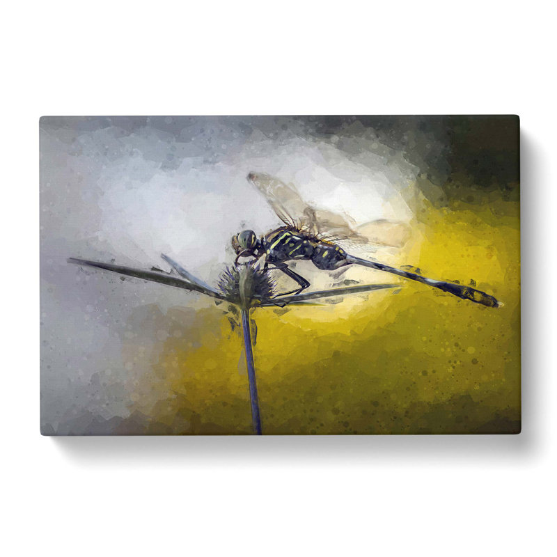 Dragonfly Upon A Thistle In Abstract - Wrapped Canvas Print, 40cm H x 60cm W x 3cm D