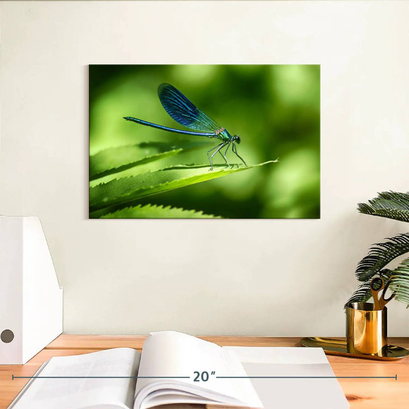 Brampt Dragonfly On A Leaf, 8" H x 12" W
