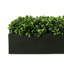 Outdoor UV Rated Boxwood in Fiberstone Planter