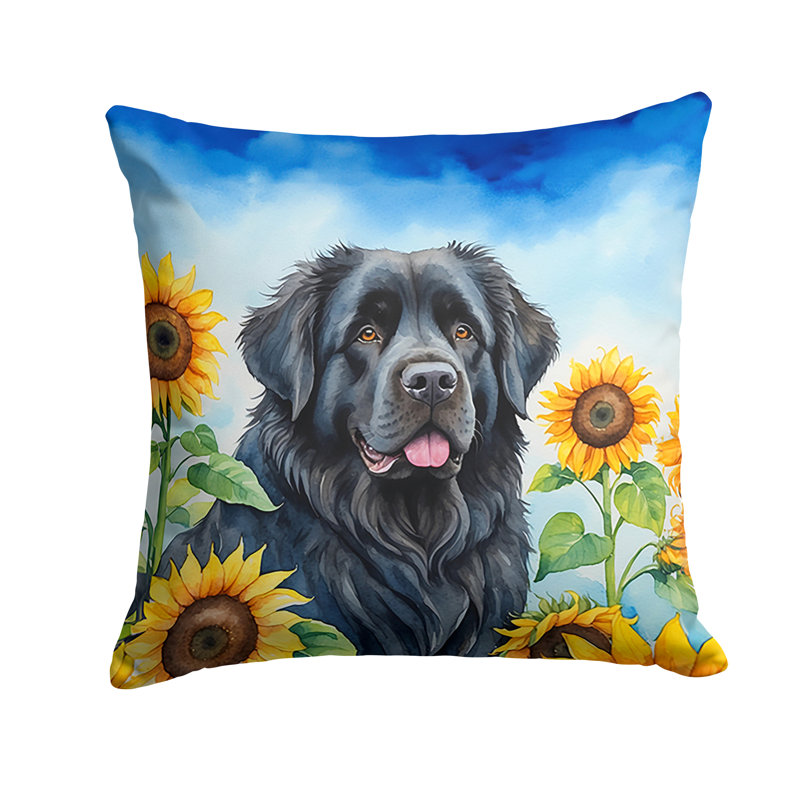 Other/No Pattern Outdoor Throw Pillow, 14" H x 14" W