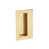 Unlacquered Brass