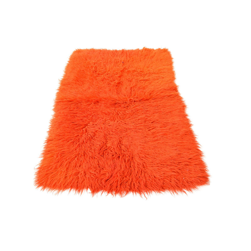 Iraheta Orange Rug
