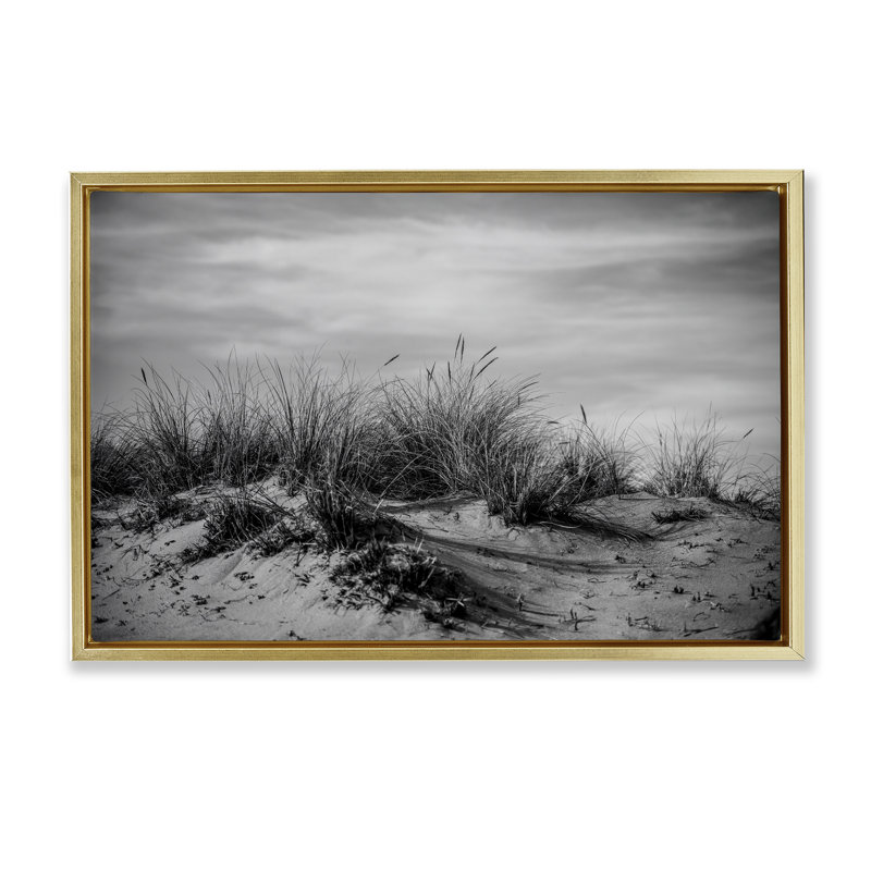  Toile flottante «Point Reyes Beach Dunes» par Crystal Lynn Collins, H 21 po x l 31 po, Cadre flottant métallique doré
