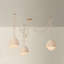 Piasu Chandelier