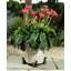 Astra Weather Resistant Planter Feet