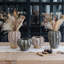 Scarlet Coral Reef Planter-854061855-854061852