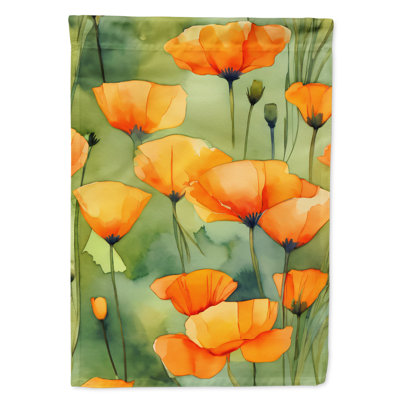 Double Sided 40'' H x 28'' W Polyester House Flag