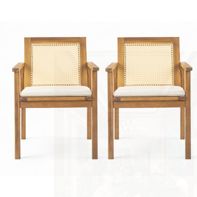 Outdoor Dining Chair With Cushion(Set Of 2)