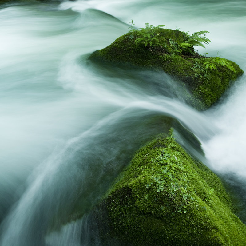 Stream by Ooyoo - Wrapped Canvas Print, 76cm H x 76cm W