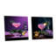 Bloomsbury Booze Cocktail - Ensemble de 2 verres muraux en acrylique-1468328
