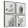 " Cacti Types Quadriptych " by Marmont Hill 4 - Pieces