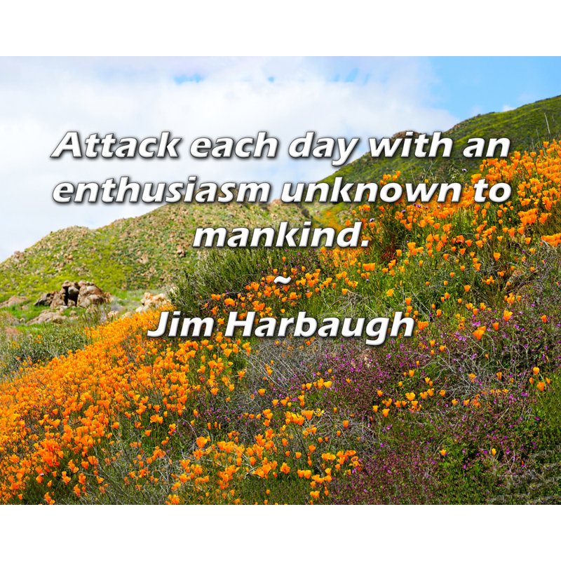 Latitude Run® Gallery Wrapped Canvas By Jim Harbaugh: "Attack each day with an enthusiasm unknown to