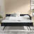 Full Size Daybed With Trundle Upholstered Tufted Sofa Bed, Sofa Bed Frame With Comfortable Backrest And Armrests, Velvet(79.5''X58''x25'')-2096409929-2096409943