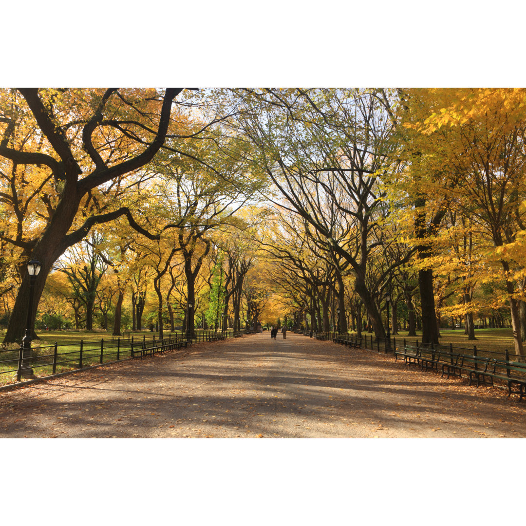 Landschaftsaufnahme des Central Park in New York City im Herbst von Jeremy Edwards - Druck auf Leinwand ohne Rahmen