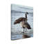 «Freeze Up Canada Geese» par Etelca, impression sur toile tendue-27644246