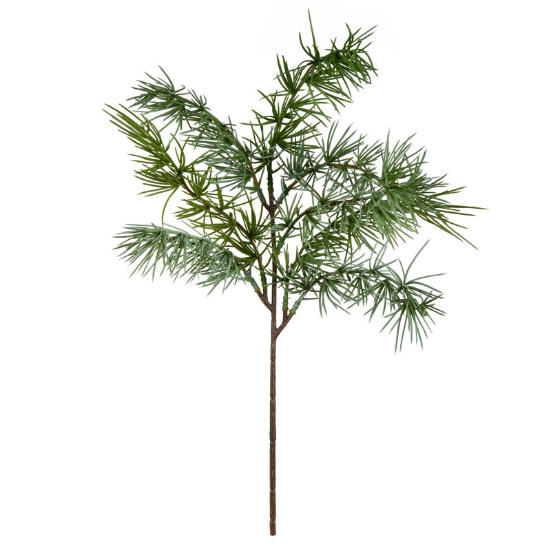 Pine Arrangement
