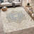 Machine Washable Indoor/Outdoor Chantille ACN2533 Traditional Rug-683877301-683877307