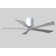 Irene 5 - Blade LED Ceiling Fan with Light Kit Included