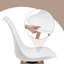 47cm H Upholstered Full Back Side Chair-815100580