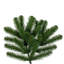 Vickerman Deluxe Sequoia Pine Artificial Full Unlit Christmas Tree.-1704216504